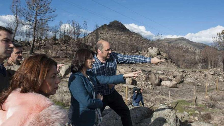Medio Rural espera concluir este mes la labor de regeneración de montes quemados