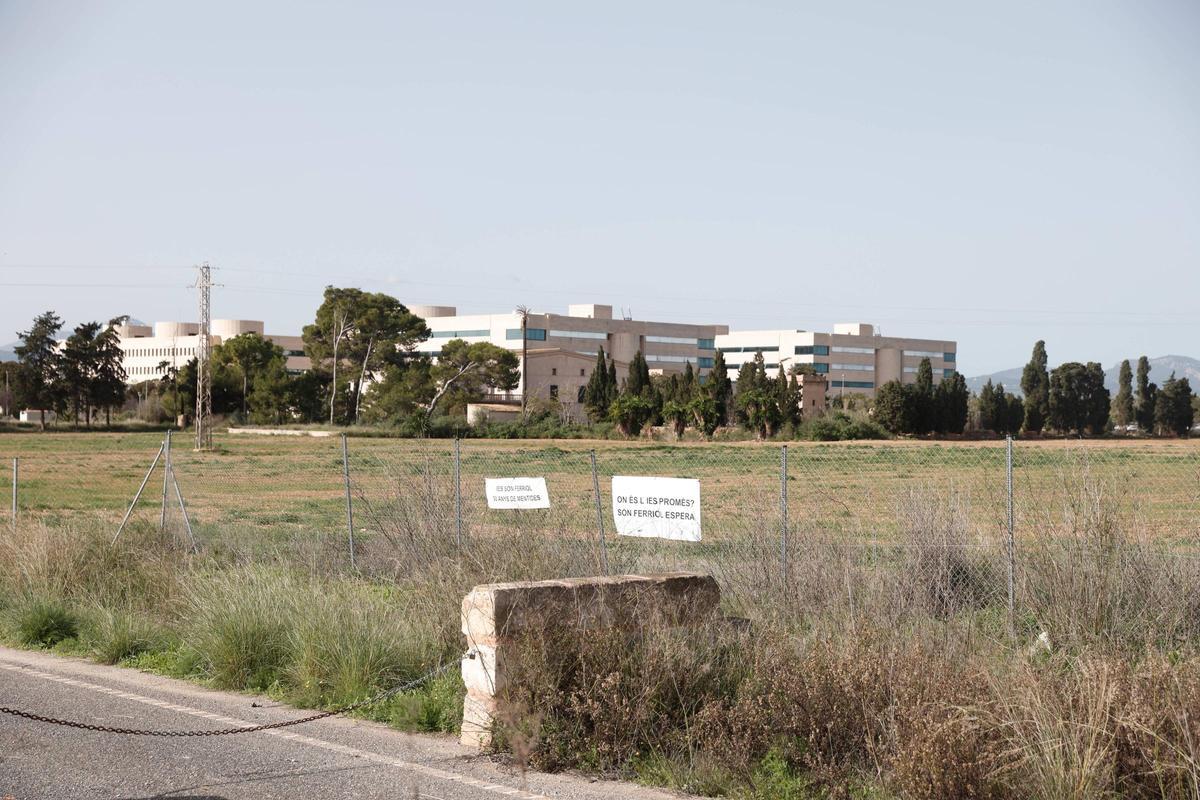 Solar en el que se construirá el recinto ferial y el IES Son Ferriol, con Son LLàtzer al fondo.