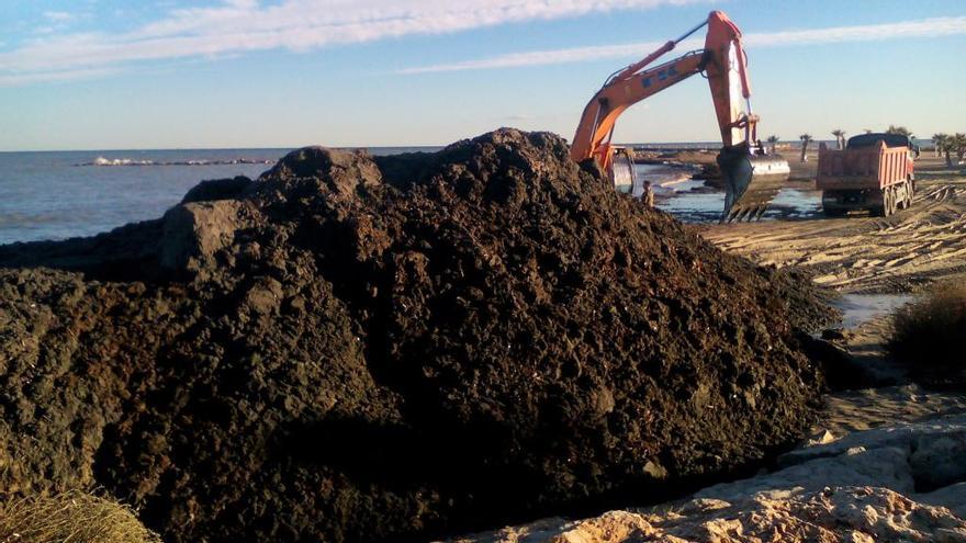 Costas extrae la arena negra con la que regenerará la playa de les Deveses de Dénia