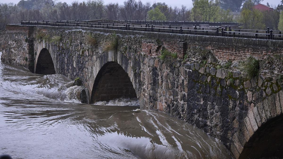 El caudal del río Tajo sigue creciendo y dejando inundaciones a su paso por Talavera de la Reina