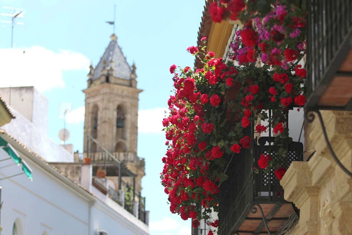 Fotogalería / Concurso municipal de Rejas y Balcones