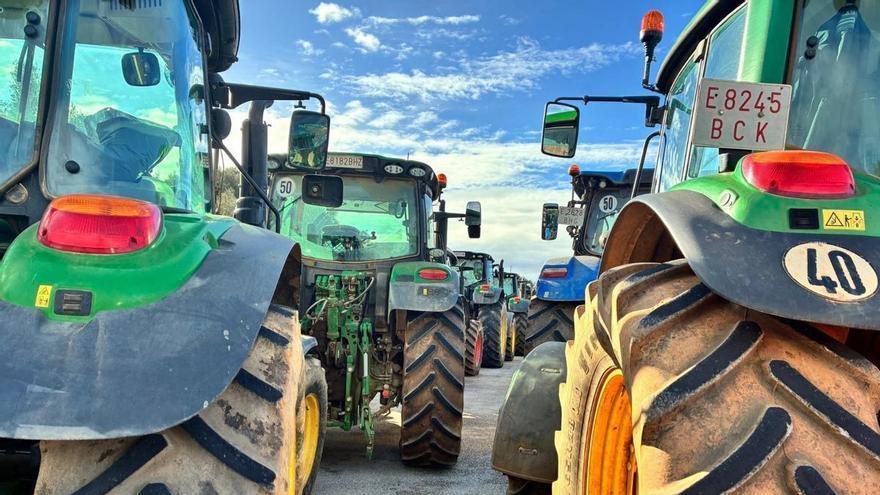 Ayudas al gasóleo agrícola en Baleares: consulte plazos, requisitos y cómo solicitarlas