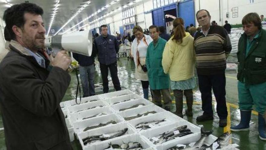 El fiscal cita a 6 armadores de Marín y Vigo de testigos por la venta de pescado en &quot;negro&quot;