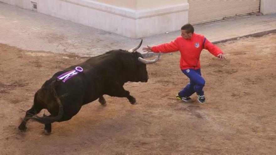 El astada de Luis Algarra en Sagunt.