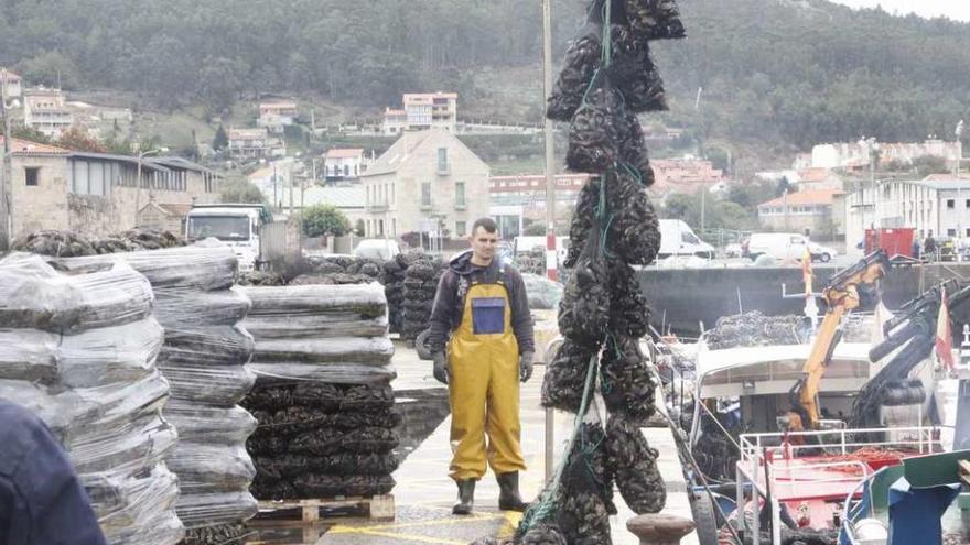 Un barco descarga mejillón la semana pasada en el puerto de Aldán. // Santos Álvarez