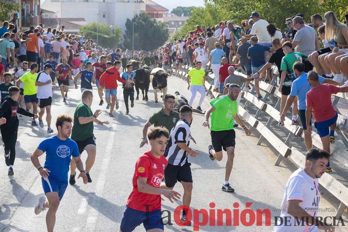 Sexto y último encierro de la Feria Taurina del Arroz en Calasparra