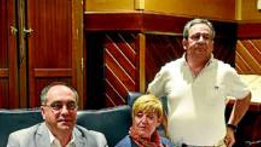 El PSOE y el CDeI se enfrentan por la forma de funcionar del cogobierno