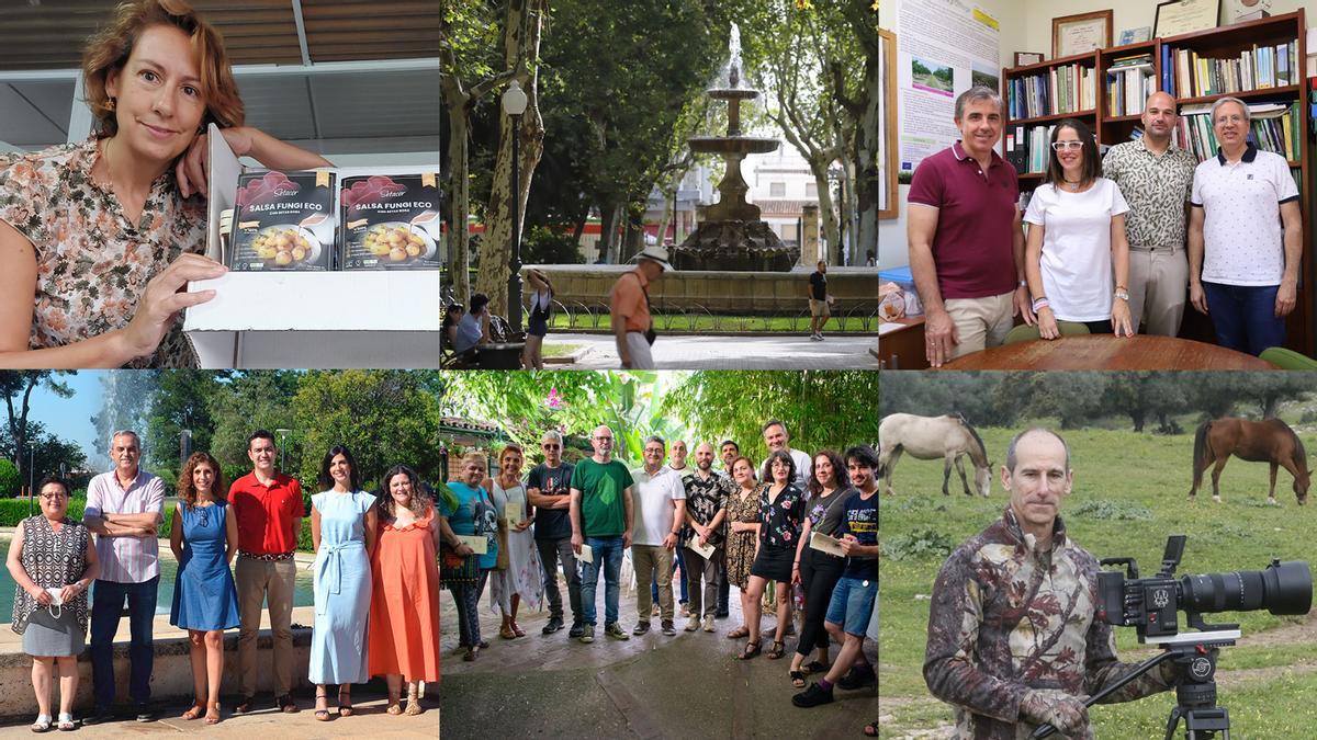 Montaje con los seis colectivos y personas galardonados con los Premios de Desarrollo Sostenible de Diario CÓRDOBA.