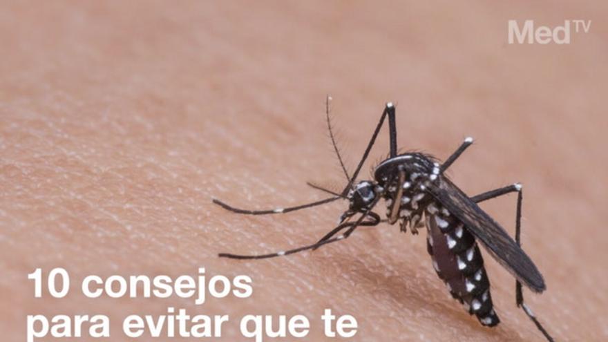 Permetrina en la ropa: medida eficaz contra insectos