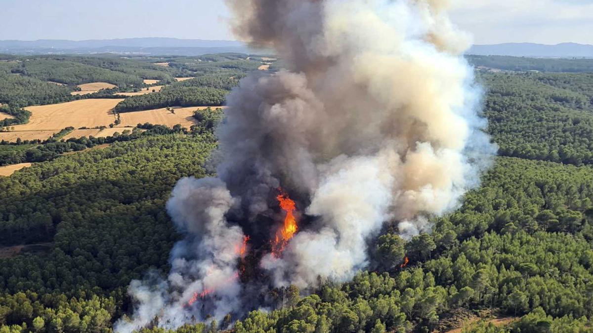 Julio negro en Catalunya: ya son 51 incendios forestales.