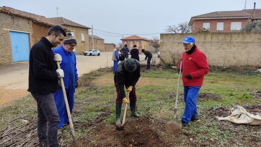 Paladinos del Valle embellece su casco urbano con plantas ornamentales del vivero provincial