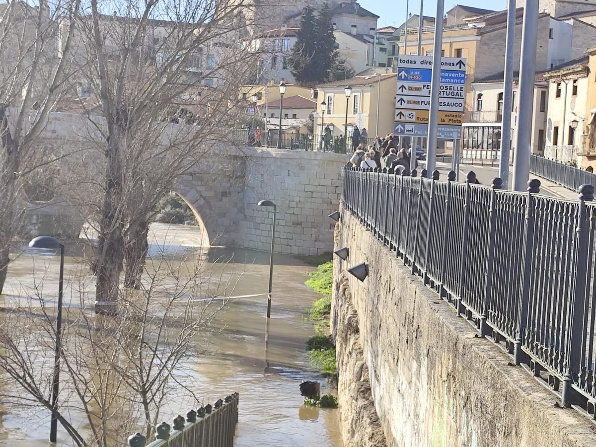 El río Duero a su paso por Zamora, con el paseo fluvial junto al Puente de Piedra totalmente inundado y la gente contemplando la crecida del caudal.