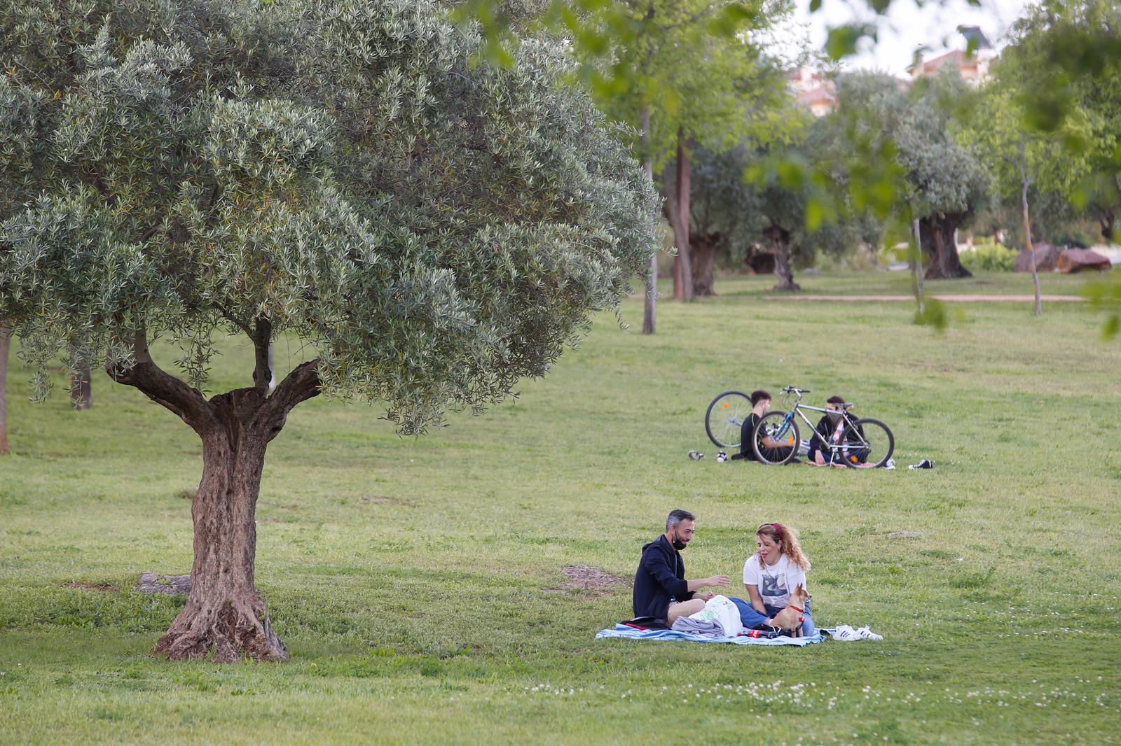 Parque de la Asomadilla.jpeg