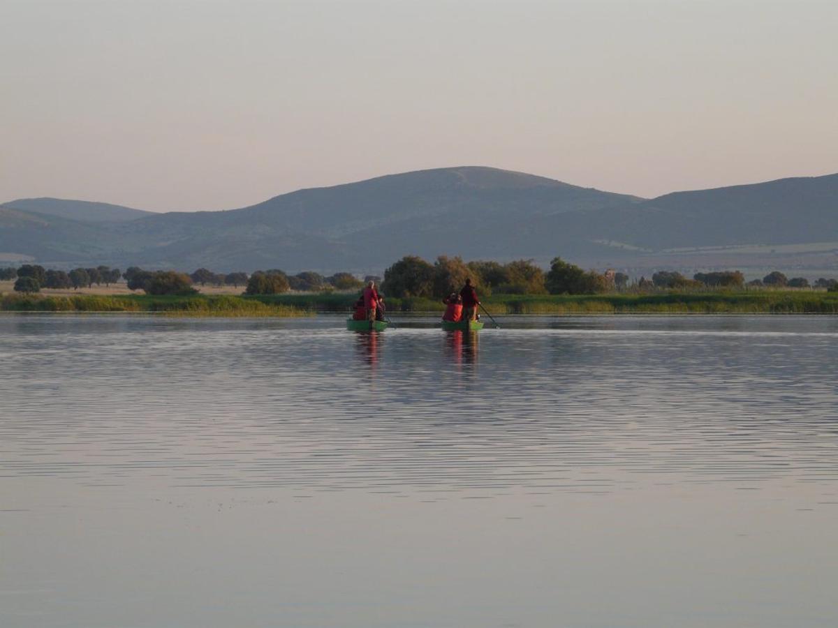 Las Tablas de Daimiel, uno de los lugares donde sobrevive la especie