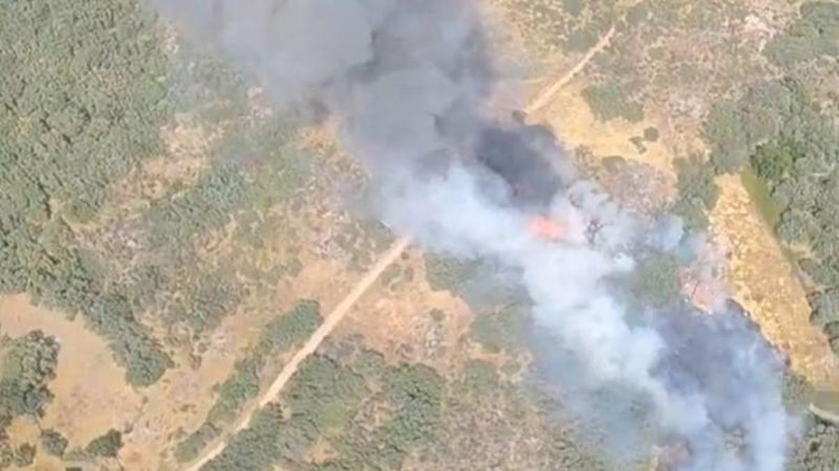 Incendio en Gargüera de la Vera (Cáceres), a 11 de julio de 2026.