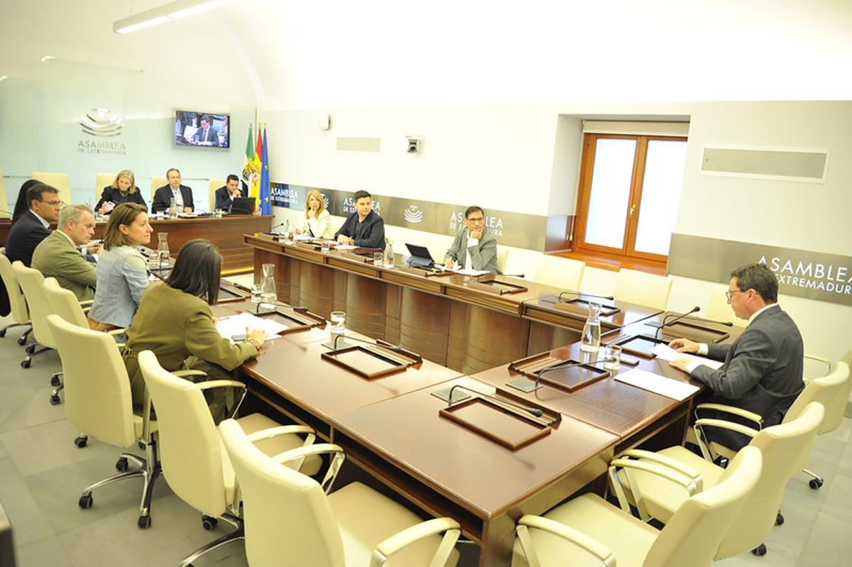 Guillermo Santamaría comparece en la Comisión de Economía, Empleo y Transformación Digital de la Asamblea de Extremadura.