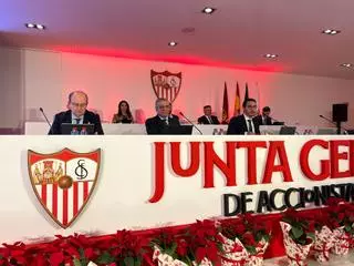 Los accionistas no dan respiro al consejo del Sevilla FC: insisten en que no se venda el club a capital extranjero