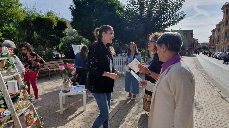 Profesionales de AFA informan a los toresanos que pasan por Santa Marina.  | AFA Zamora