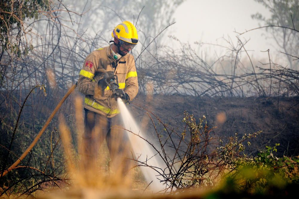 Tasques d'extinció de l'incendi de matolls declarat sobre l'antiga fàbrica Viñas a la zona del Poal.