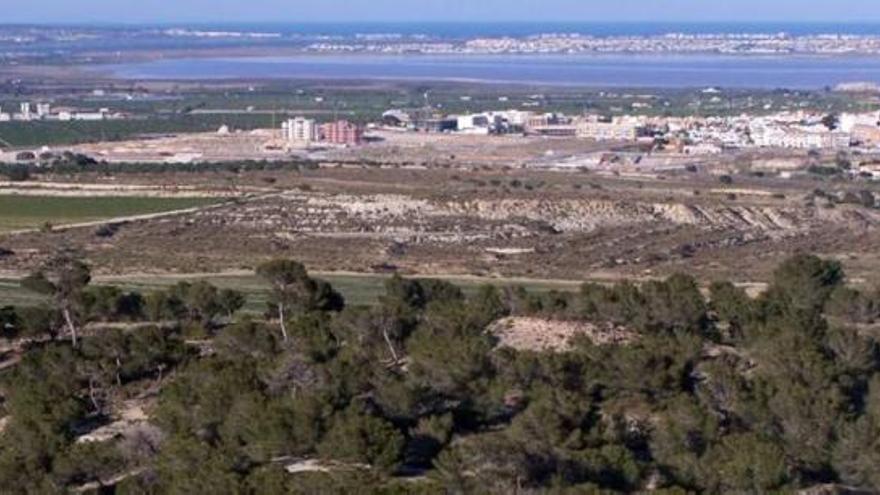 Imagen de algunas de las parcelas de San Miguel de Salinas que se habían recalificado como terrenos urbanos con el PGOU.