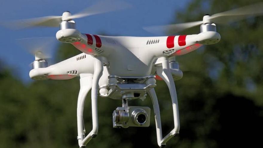 Sant Jordi reforzará con un dron la vigilancia en el campo para evitar los robos de algarrobas