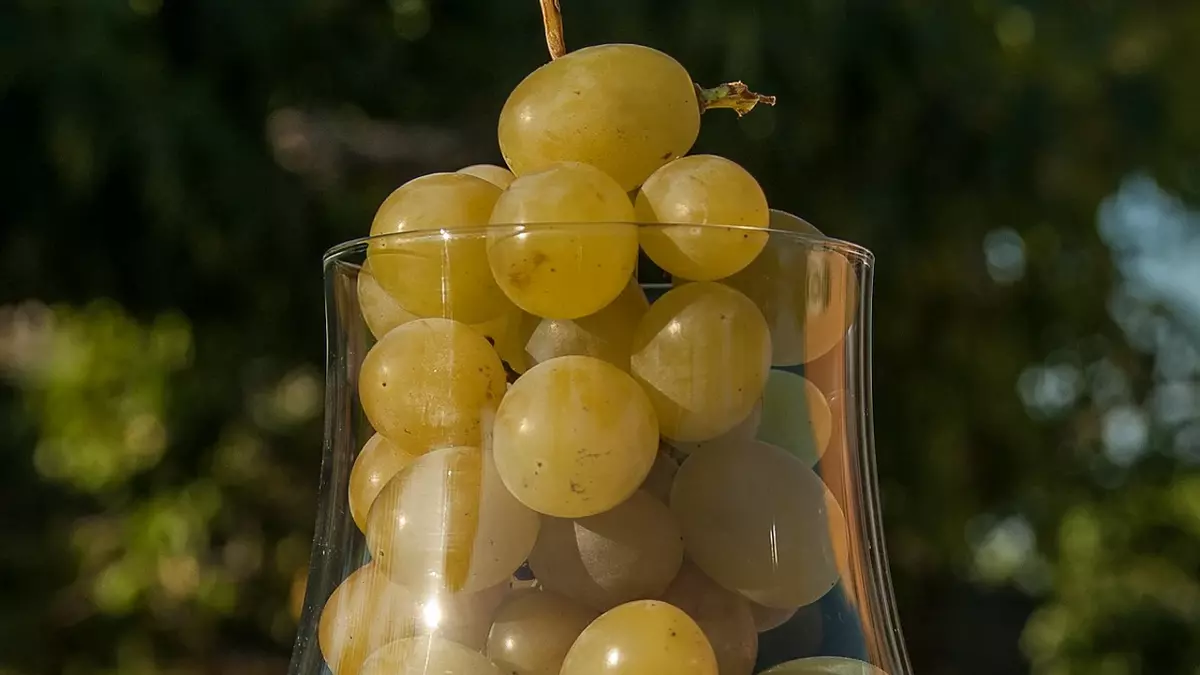 La OCU ha hablado: estas son las mejores uvas de Nochevieja (y no tienen competidor)