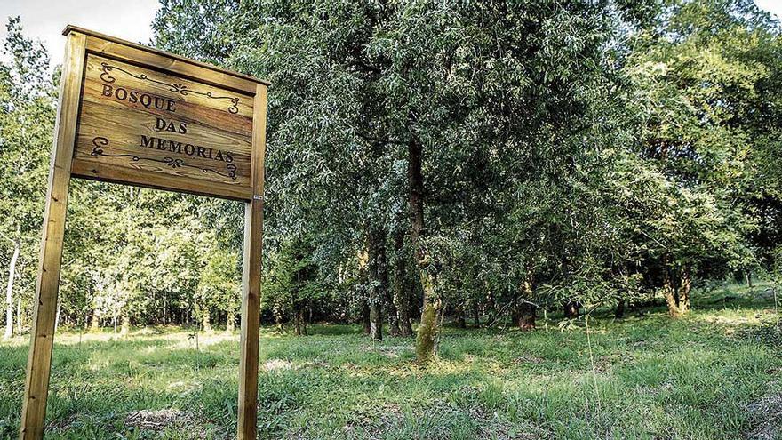 El acceso al Bosque das Memorias invita al recogimiento en plena naturaleza.