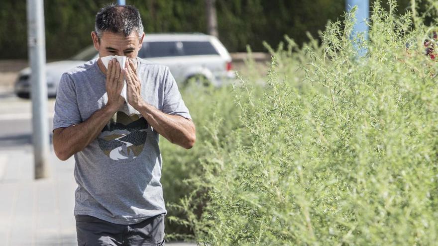 Una primavera “explosiva” dispara los síntomas de los alérgicos al polen de Málaga