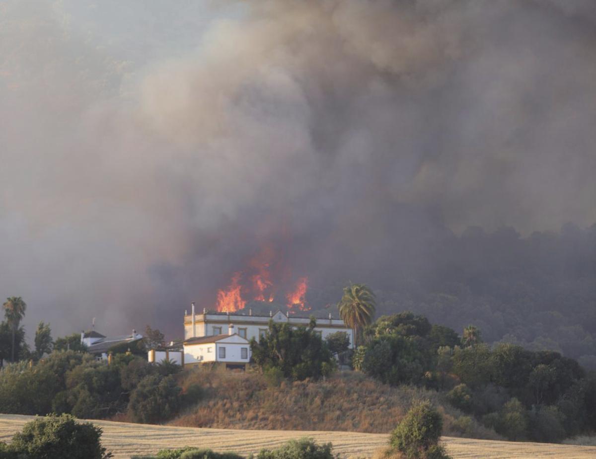 El fuego arrasó una amplia 
zona de La Albaida y obligó a un centenar de desalojos.