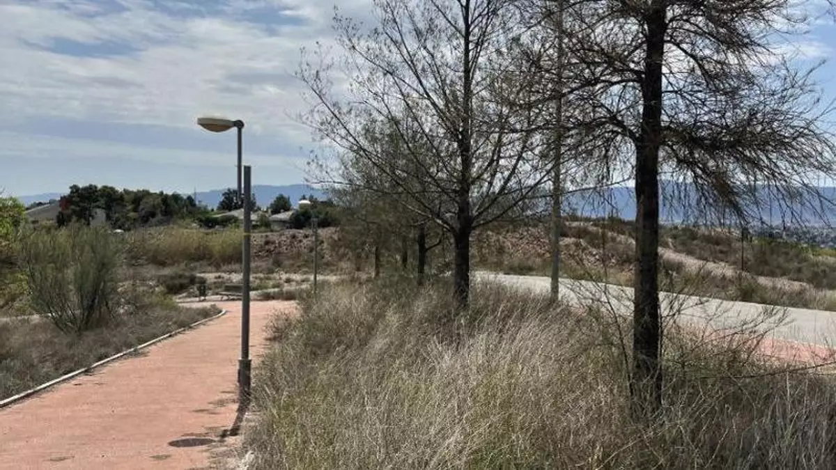 Un millón en avales para terminar una urbanización de Murcia tras 10 años ‘a medias’