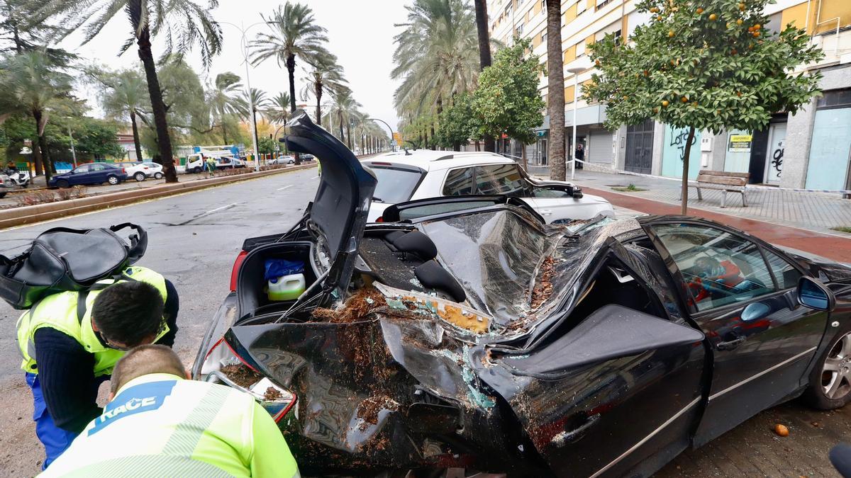 Numerosas incidencias por el temporal de viento y lluvia en Córdoba