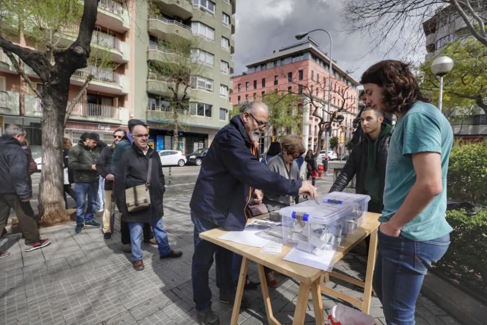 Referéndum monarquía o república en Palma