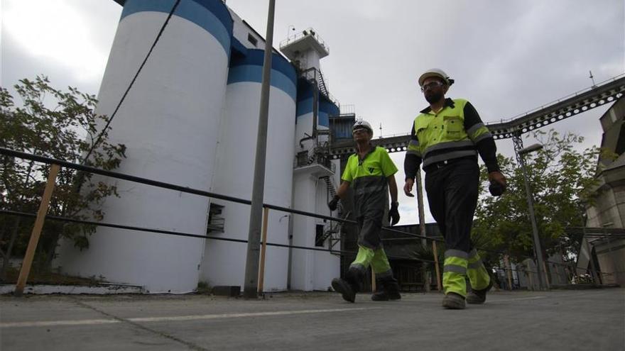 Aire Limpio reitera que Cosmos no puede incinerar