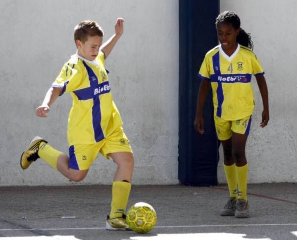 FÚTBOL SALA: Hilarión San Antonio - María Moliner C.P (Alevín Serie 2)