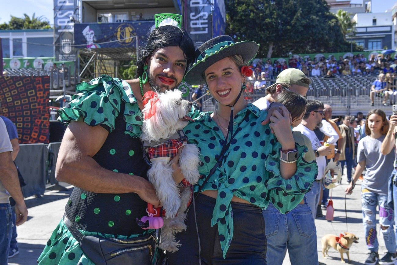 Carnaval 2023: Carnaval de día | Conciertos Santa Catalina