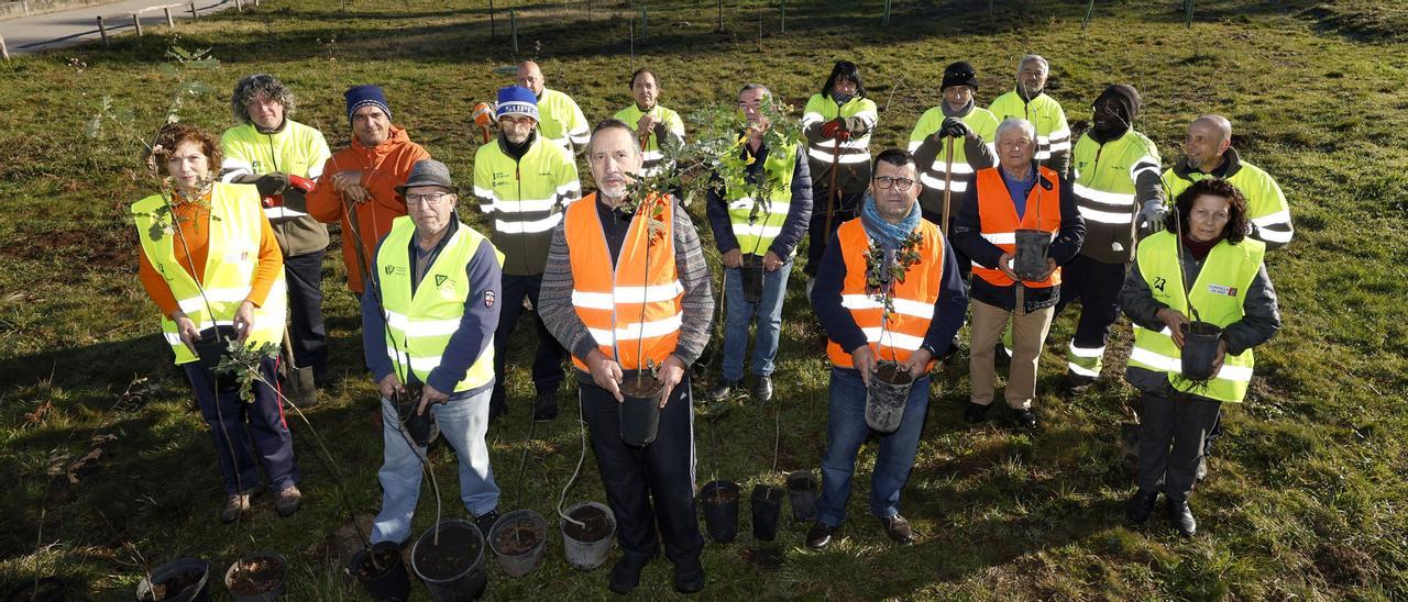 Miembros de la Comunidade de Montes de Valladares y voluntarios se preparan para una plantación.