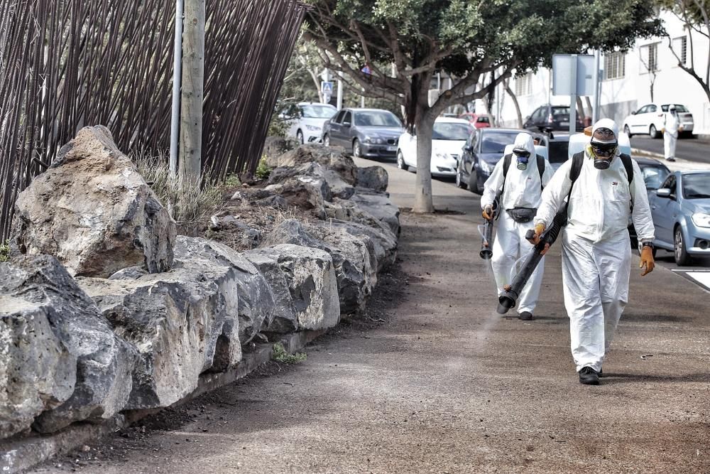 Tareas de limpieza en Santa Cruz de Tenerife