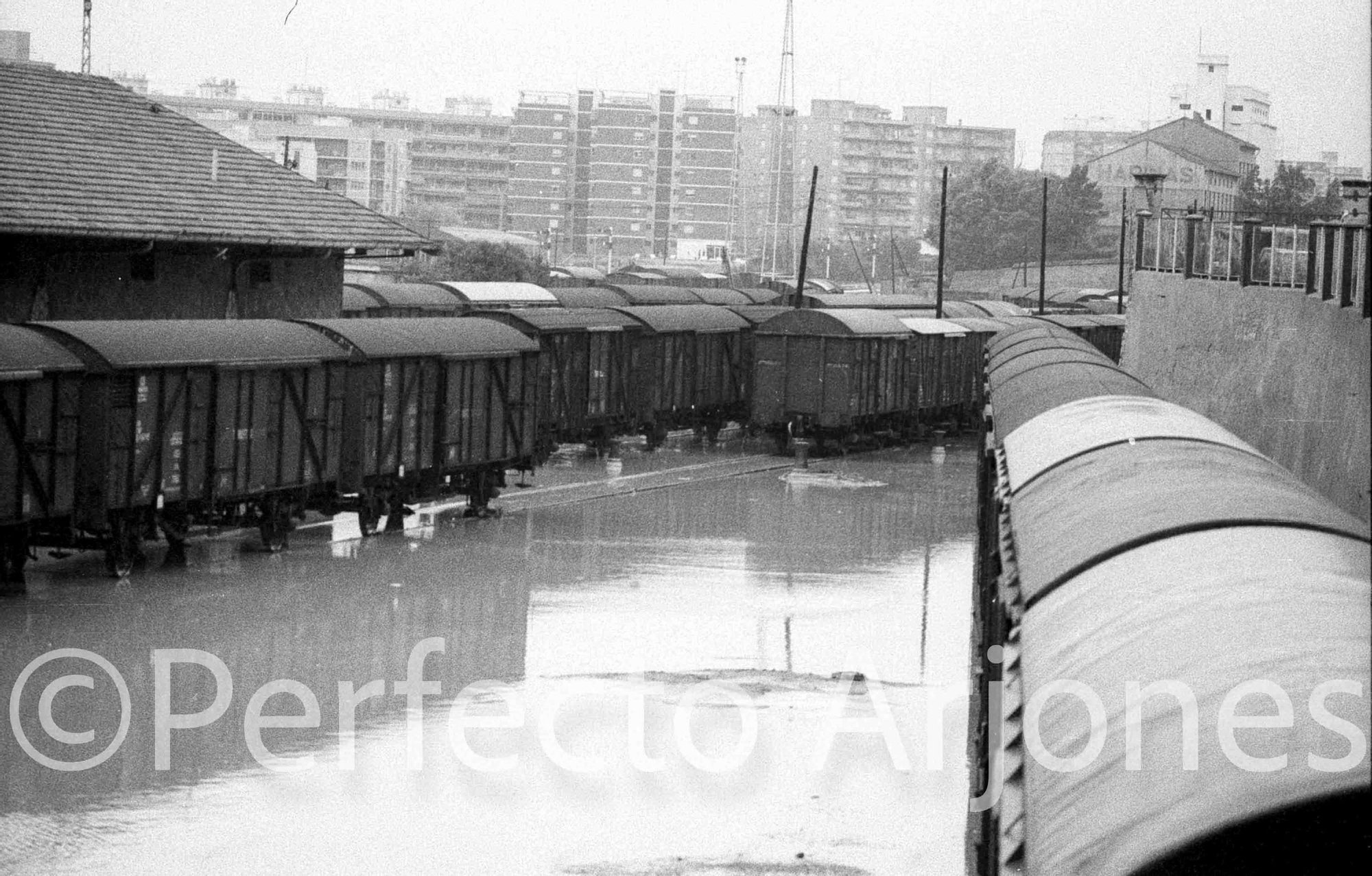 Riada de 1982: El día que Alicante se partió en dos