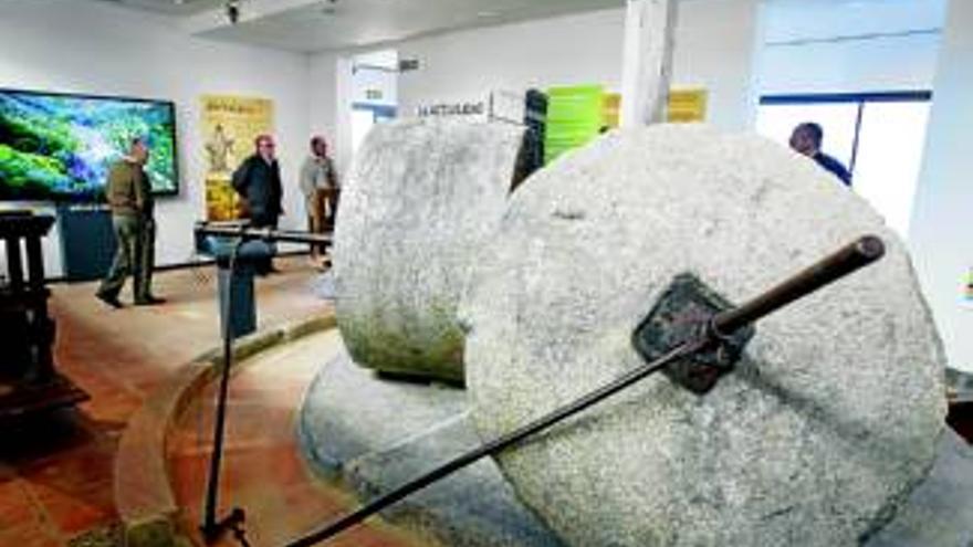 Adamuz y la ruta del oleoturismo