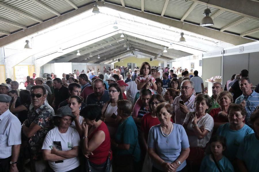 Fiesta de la Trashumancia en San Vitero