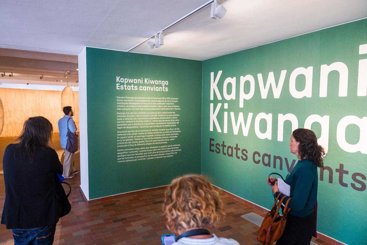 Exposición 'Estats canviants', obra de Kapwani Kiwanga, de la Fundació Joan Miró.