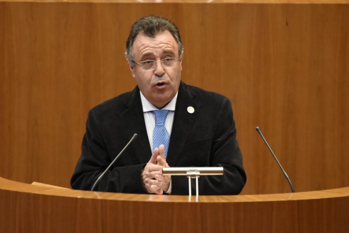 Martín Benito, en una intervención en las Cortes de Castilla y León.