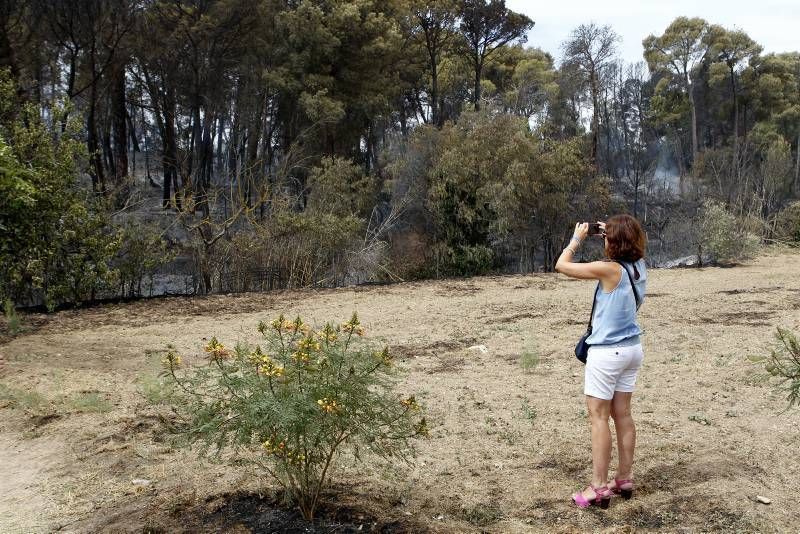 Imágenes del incendio en Alcañiz