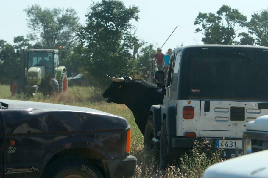 Villalpando despide los toros