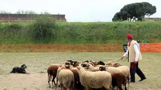 La Fira de Primavera de Campllong repeteix èxit de públic amb més de 23.000 i diverses novetats