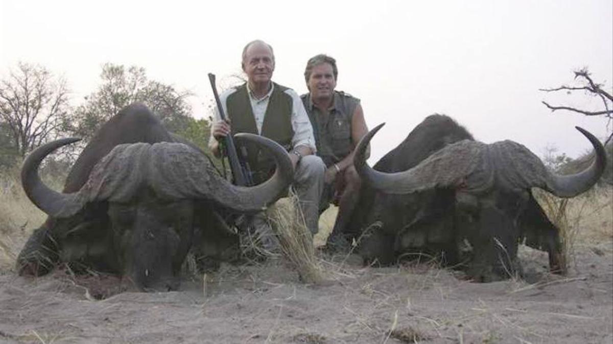 Juan Carlos I, con dos búfalos cazados en Botswana en 2012.