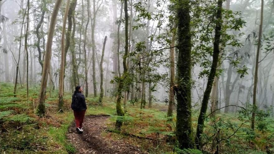 Anna Vidal, guía de baños de bosque, en una ruta anterior.