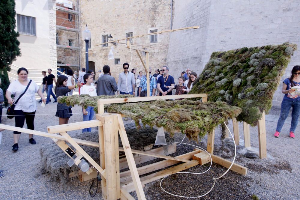 Primer diumenge de Temps de Flors