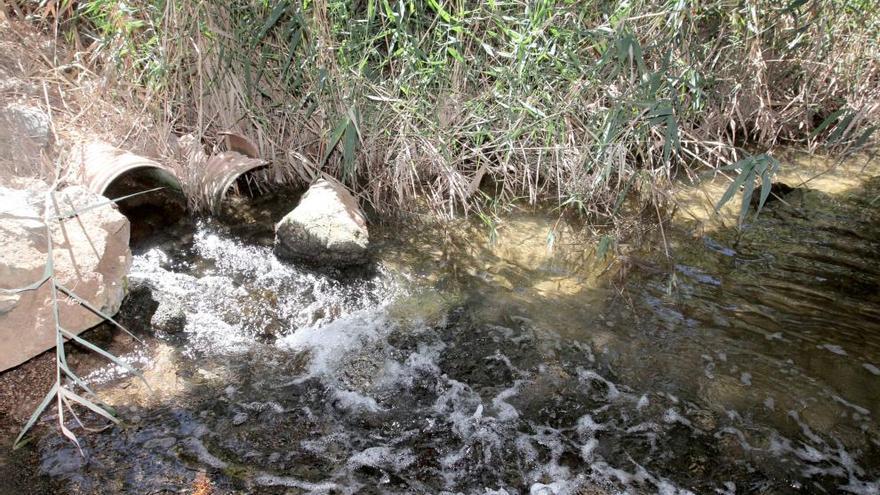 Ródenas (CHS): &quot;No sabemos cuándo lograremos el vertido cero al Mar Menor&quot;