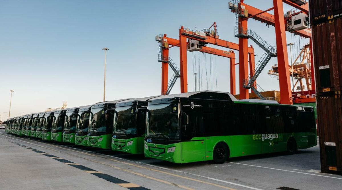 Imagen nuevas Guaguas | | ED/LOT